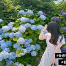 동광리-6 이미지