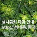 장수네 티스토리