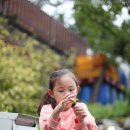 철수네 홀덤펍 | #126 텐트 밖은 산장 / 가평산장관광지 / 캠핑을 가장한 나들이...9/3