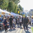 차 없는 거리 문화행사 이미지