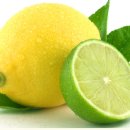 스킨오가닉 이미지