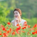 聖人은 듣고 난후 입을 연다 이미지