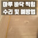 삼익세탁소 | 성북 마루 찍힘 수리 복원, 셀프시공 예방법