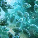 에스온누리약국 이미지