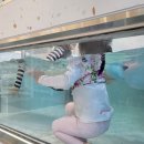삼둥이네무인키즈카페;워터룸 | [군산 수영장 키즈카페] 군산키즈풀 삼둥이네 무인키즈카페 워터룸 이용 후기