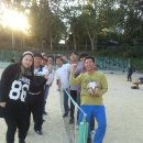 종합운동장 족구장 이미지