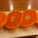 제이밥(J Bob) 이미지