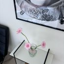 모래(MORAE) 이미지