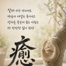 상처를 품어 마디가 되는 삶 이미지