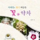 사계절자연산약초