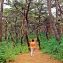 춘곡사 한국경제
