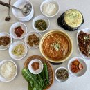 아라도야지 이미지