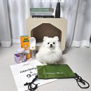 오펫 | 글라스락 오펫 펫로깅 강아지용품 받고 환경보호 하기