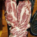 돌리고 제주도야지 이미지