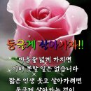 🌺🍒하나의 회복에 대한 약속 이미지