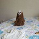 월정리에 이미지