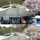 제19회 수진공원 벌터산한마당축제 이미지