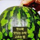 명안농장 네이버블로그