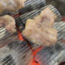 고고돼지 이미지