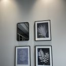 피오르달리조영주점 이미지