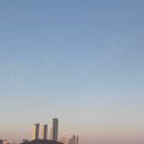 가족머리깎기(야간) | 부산 요트투어 가족여행 놀거리 추천! 요트가이 5시 탑승 후기 및 꿀팁