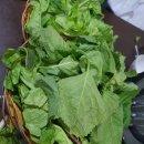 중앙무도장 이미지