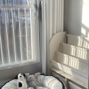 MER Baby Nest 메르 베이비네스트 내돈내산 4개월 사용후기