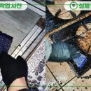주방후드덕트식당청소전문마포 네이버블로그