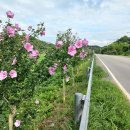지방도647호 연합뉴스