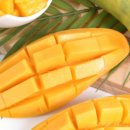 써봐조아 이미지