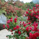 남사농장 이미지