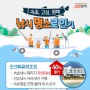 고코요