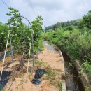 미암농장 이미지