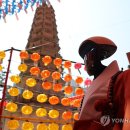 "사람 잘 따르고 과충전하지 않겠습니다"…로봇스님 '가비' 등장 이미지