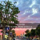 올세일즈 | 아시아나 항공, 피어39, 금문교, 롬바드 스트리트, 세일즈포스 타워, 유니언스퀘어, 요세미티 공원