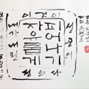 오늘의 명언 : 5월 12일 자유롭게 피어나기. 게리 스펜스 이미지