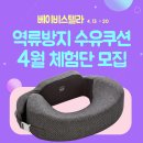 베베스텔라 이미지