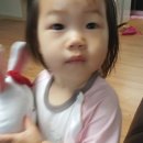 코코소담