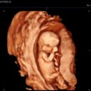 도안누리여성의원 이미지