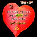 행복한가을 Daum카페