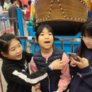 새화랑태권도장 이미지