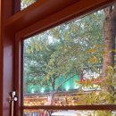 고우 합정점 이미지