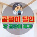 성북9 | 방 곰팡이 제거 재발 없이 끝내는 방법 서울 성북구 후기