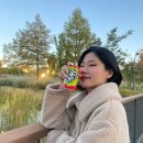 ㈜쏘울에너지 | 탐스제로 청포도석류 제로음료 이벤트 제로칼로리 !