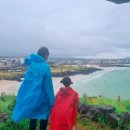 제주동복해녀식당 이미지