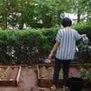 서서울생활과학고등학교 | 목동 베란다 텃밭, 모종과 배양토 구매하기 및 모종 이식 이틀차 후기 - 경서농협 농자재지원센터