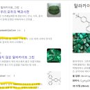 2016 수산물품질관리사 기출 2차