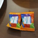 (주)현대물자조달 | [적군의 언어] 인간이 사라진 생태계, 파격적 현대설치미술 관람후기(2025 월간미술대상 최우수 전시)