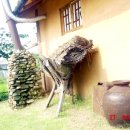 정겨운 식당 이미지