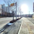 중로(보)2-1-5 이미지